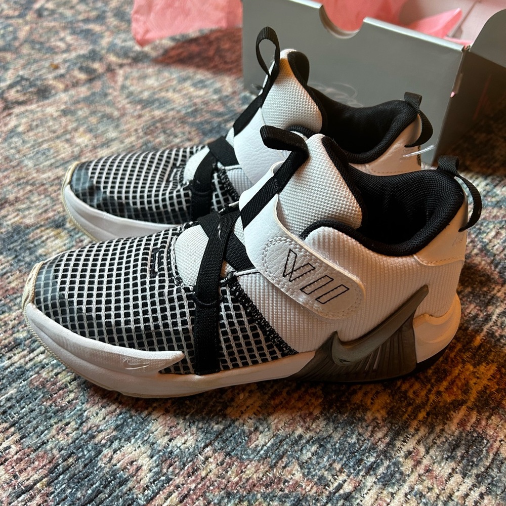 Lebron Sneakers